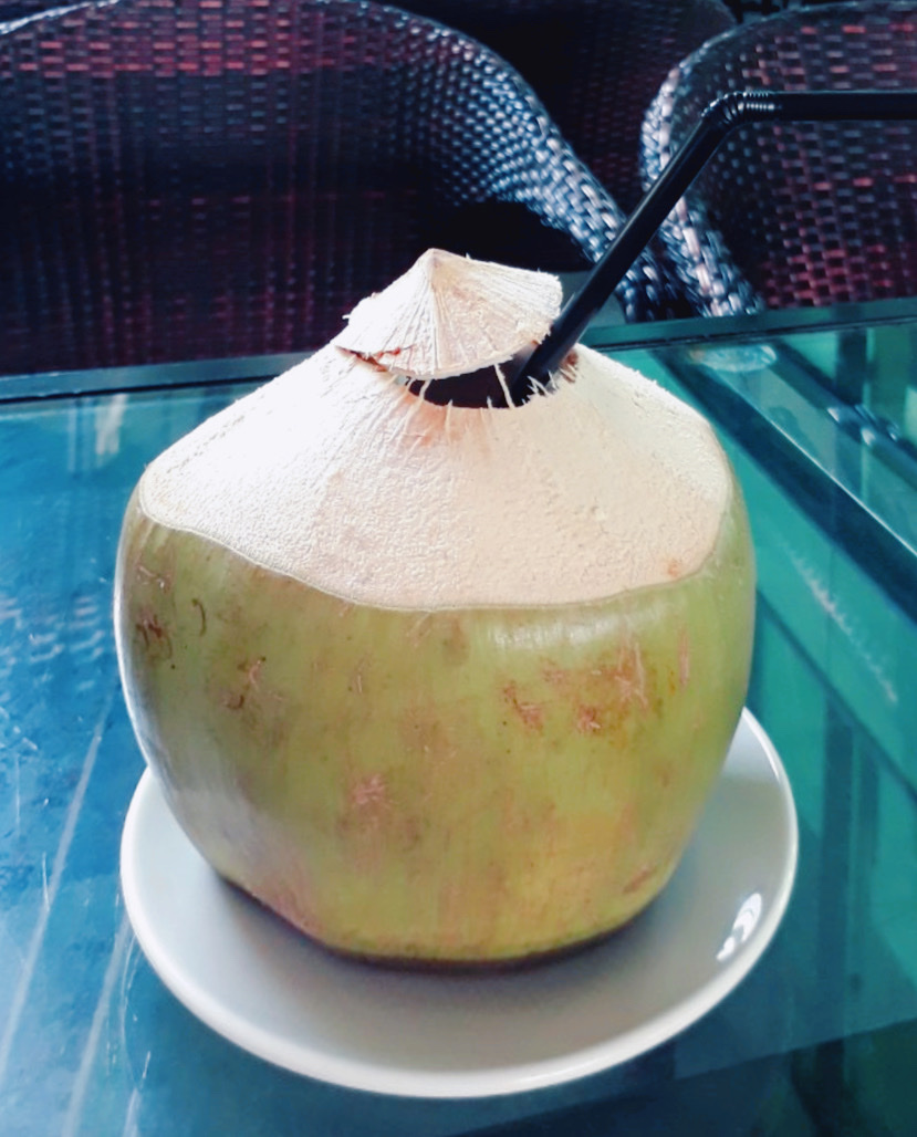 Trái dừa