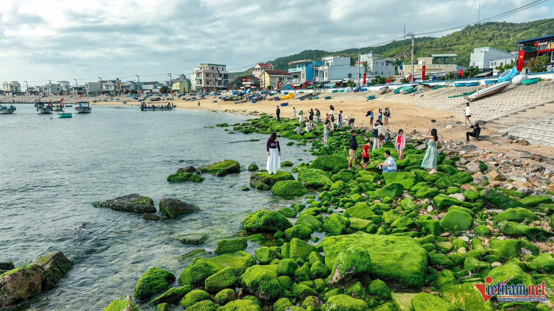 The arc-shaped rock beach in Quy Nhon becomes a 'green silk strip' attracting tourists to check-in