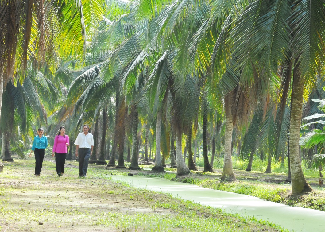 Mo Cay  Nam develops a distinctive product for each commune