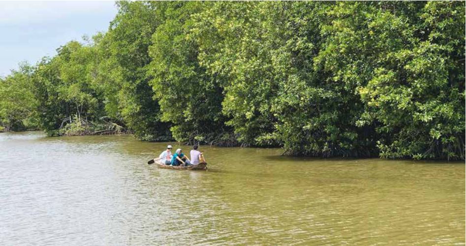 Xây dựng sản phẩm du lịch nông thôn Thạnh Phú