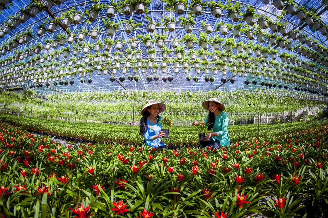Chợ Lách - Điểm Hẹn Lý Tưởng Năm Giáp Thìn 2024