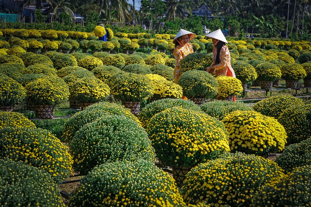 Bến Tre: Bảo Tồn Các Giá Trị Văn Hoá Làng Nghề Qua Hoạt Động Du Lịch