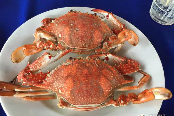 Ghẹ