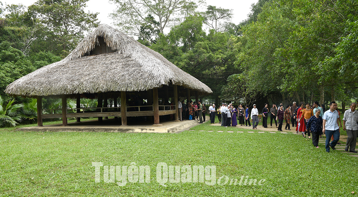 Tour tiêu chuẩn