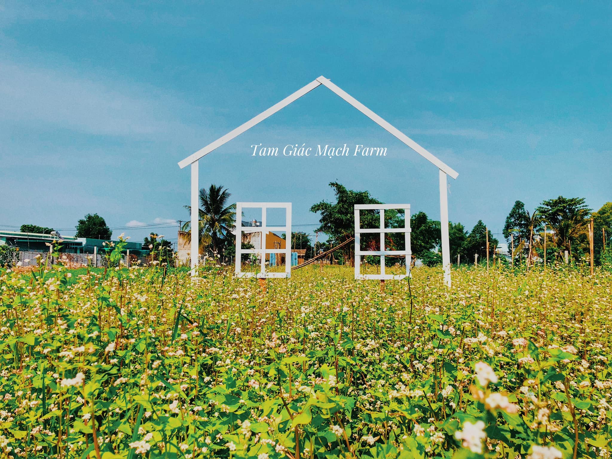 TAM GIÁC MẠCH FARM