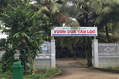 Vườn dừa Tân Lộc
