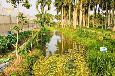 Bảo Gia Farm