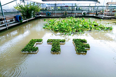 Cần Thơ Farm