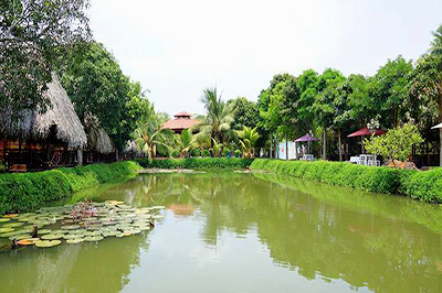 Minh Viet Homestay 