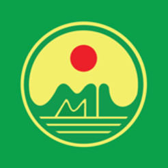 Mai Linh Taxi 