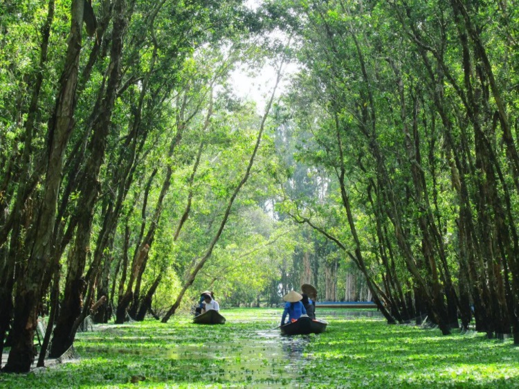 Mê đắm vẻ đẹp miền Tây mùa nước nổi