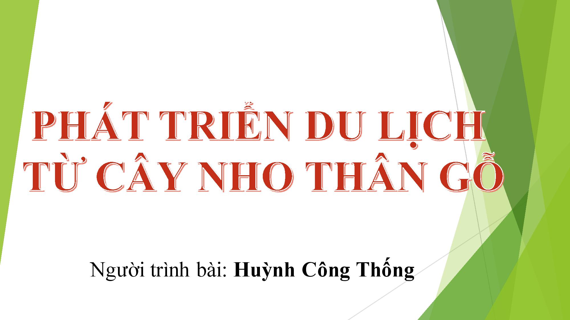 Phát triển du lịch từ cây nho thân gỗ