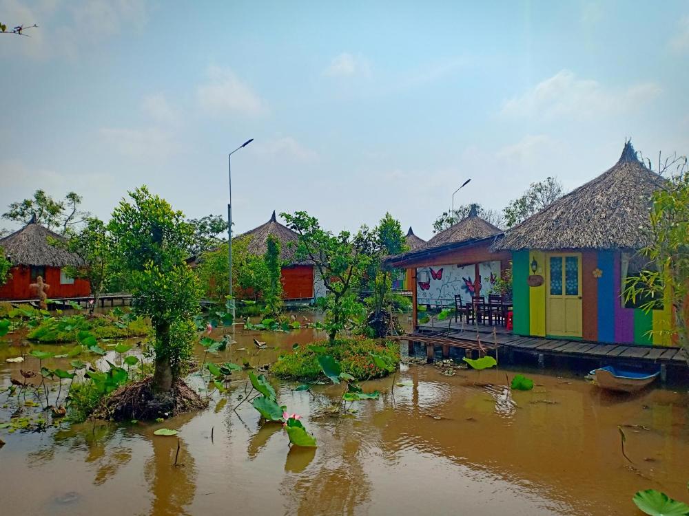 VƯỜN SINH THÁI VẪN LÀ THẾ MẠNH CỦA DU LỊCH CẦN THƠ