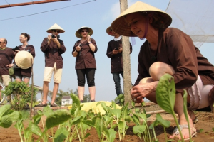 Tour Một ngày làm cư dân phố Hội với nghề trồng rau Trà Quế